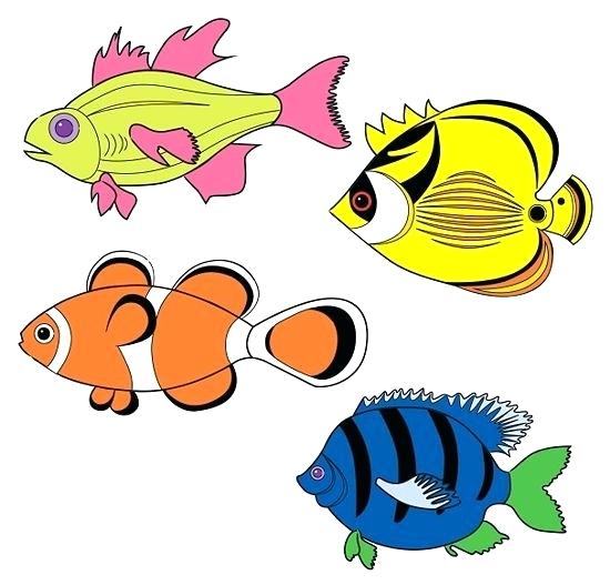 550x527 Fish Drawings Easy Fish Drawings How To Draw Fish Step