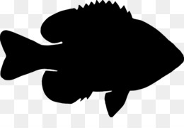 260x180 Flatfish Png Free Download