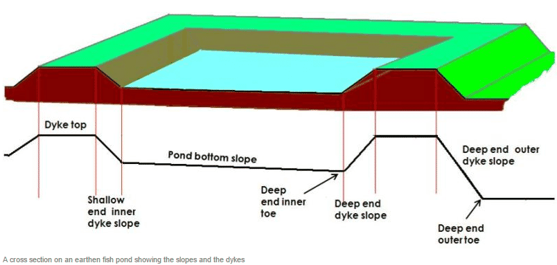 804x383 how to construct a semi intensive pond for aquaculture the fish site