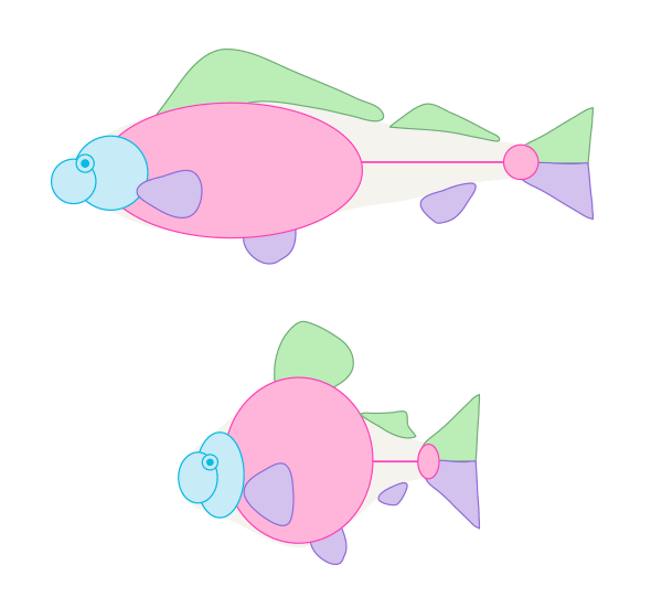 600x541 How To Draw Animals Fish And Sharks