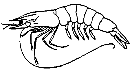 456x256 nrem getting started in aquaculture osu fact sheets