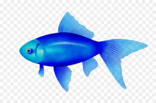 320x213 Search Rayfinned Fish From Millions Free Vectorphoto On Nohat Me