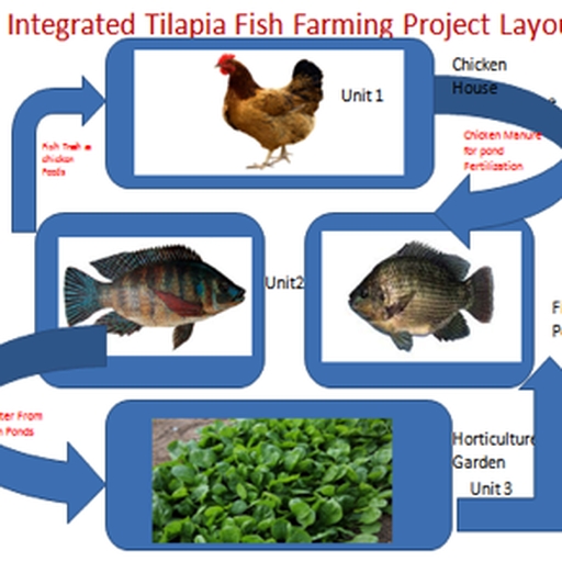 512x512 Tff Challenge