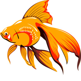 260x260 Fish, Illustration, Sketch, Transparent Png Image Clipart Free