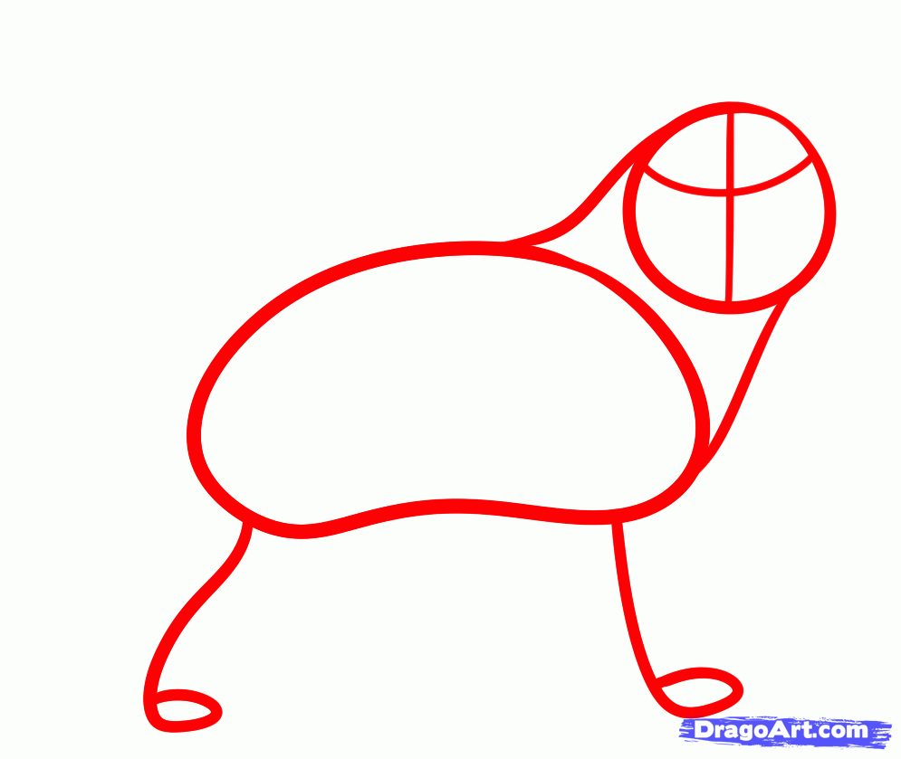 995x839 How To Draw A Gray Wolf, Timber Wolf, Step