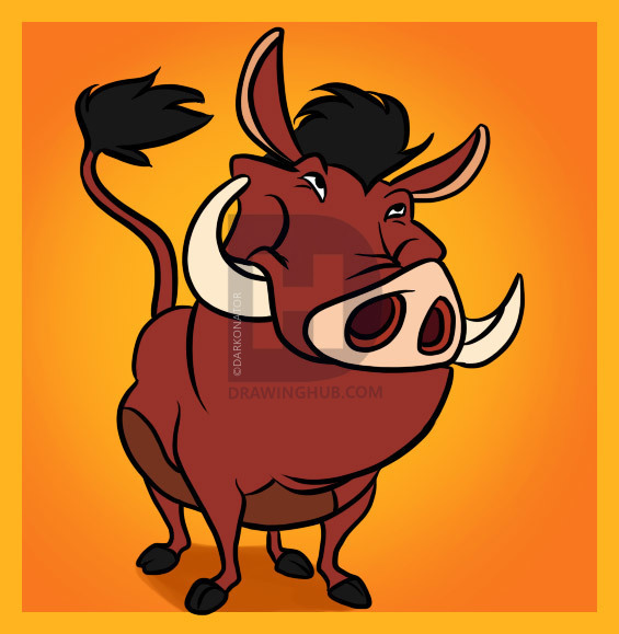 565x579 how to draw pumba, step