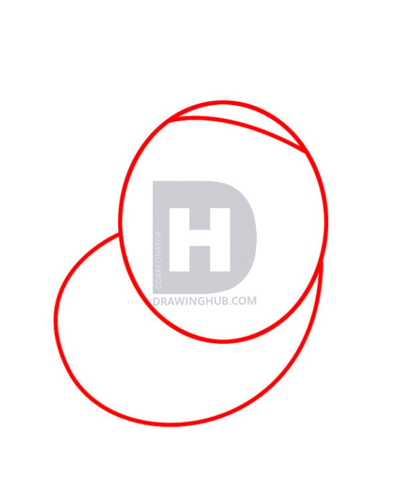 597x720 how to draw timon and pumbaa, step