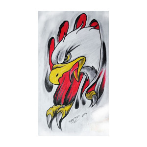 300x300 Eagles Drawing