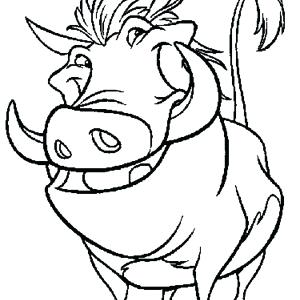 300x300 Handsome Timon Coloring Pages And Pumbaa Colouring