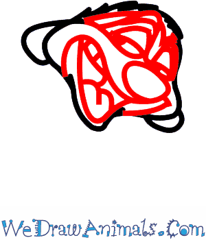 300x350 How To Draw Timon From The Lion King