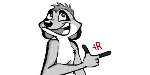 500x250 Timonpumba Explore Timonpumba