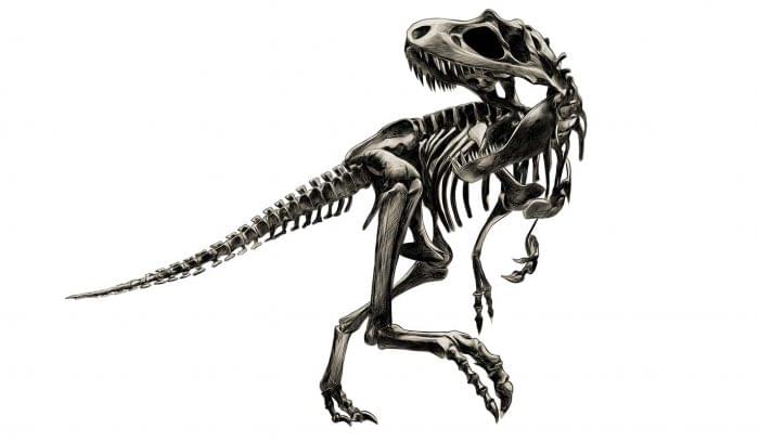 700x408 Scorm Is Dead Here's Why Tin Can Lms Is The Future