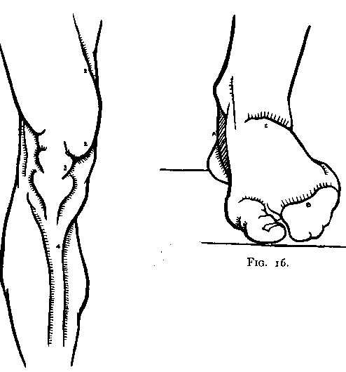 494x530 The Best Artists