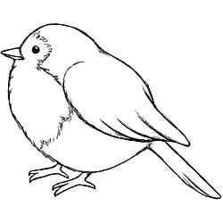 250x250 magenta a tiny bird cling stamps embroidery bird drawings