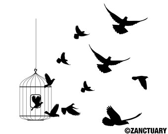 340x270 Small Bird Tattoo Etsy