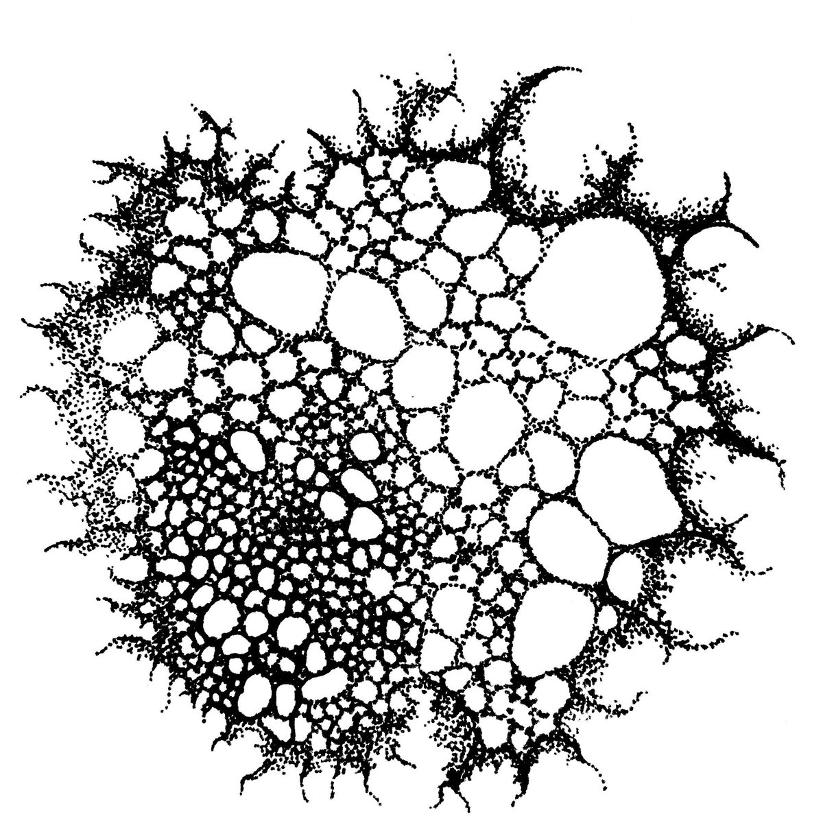 1200x1200 Keneilwe Mokoena On Twitter More Tiny Drawings Start