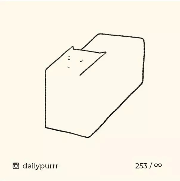 604x607 Is It A Cat Or Tissue Box Hahapy