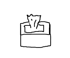 300x250 Tissue Paper