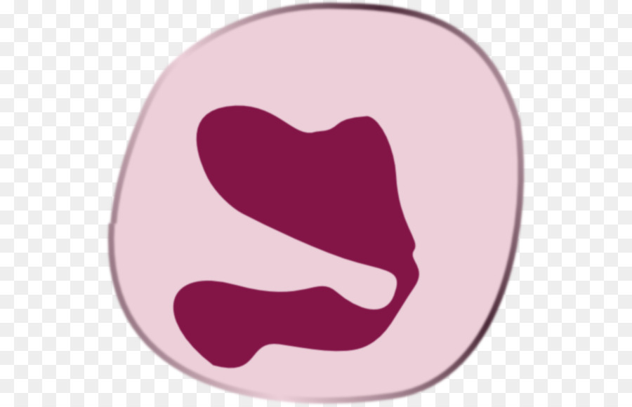 900x580 Download Drawing Clipart Tissue Eosinophil Heart