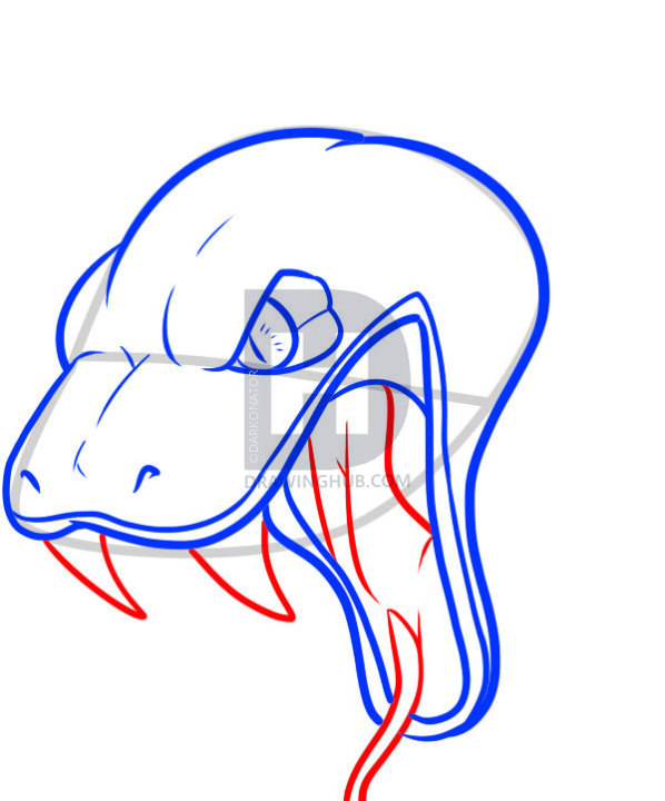 598x720 How To Draw A Snake Head, Draw Snake Heads, Step