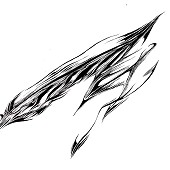 170x170 Jenwright Art