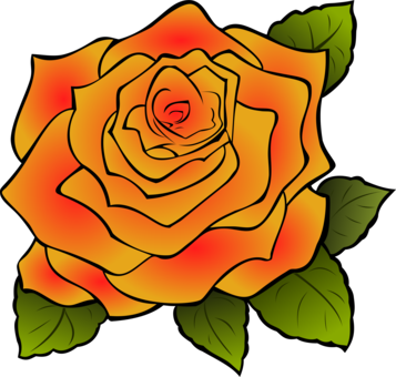 357x340 Jack Drawing Rose