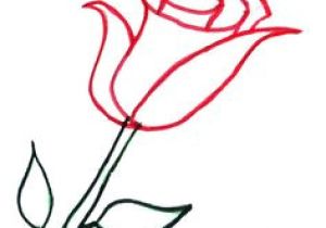 300x210 Childs Drawing Of A Rose Black Outline Drawing Flower White
