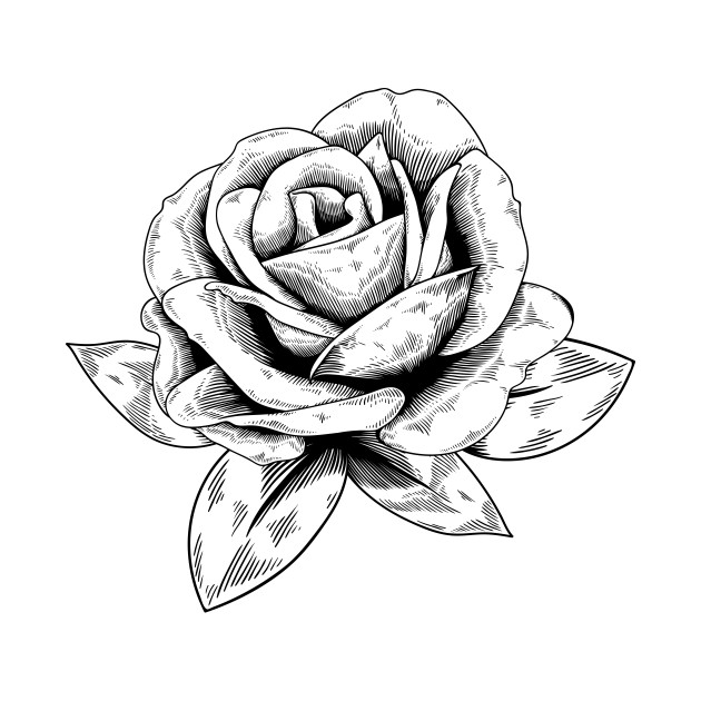 630x630 Rose Drawing Sleeve For Free Download