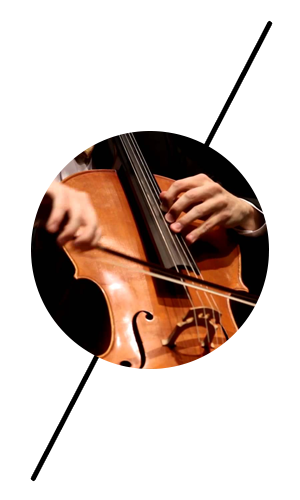 300x500 Collection Of Free Cello Drawing Epic Rose Download On Ui Ex