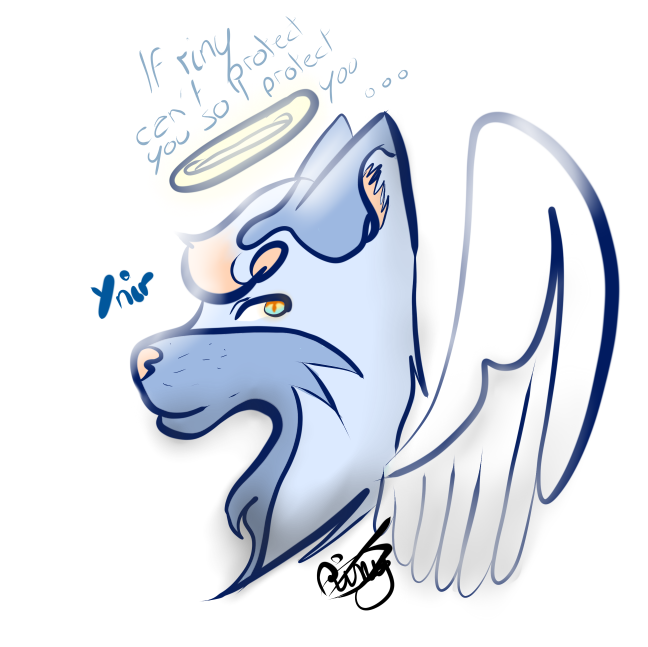 648x647 Headshot Ynir