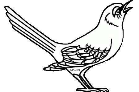 450x300 Collection Of Free Mockingbird Drawing Bird Mississippi Download