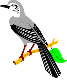 260x320 Drawing, Bird, Line, Transparent Png Image Clipart Free Download