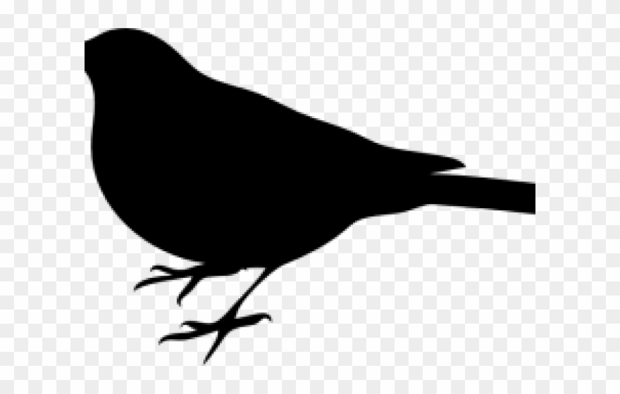 880x560 mockingbird clipart texas mockingbird