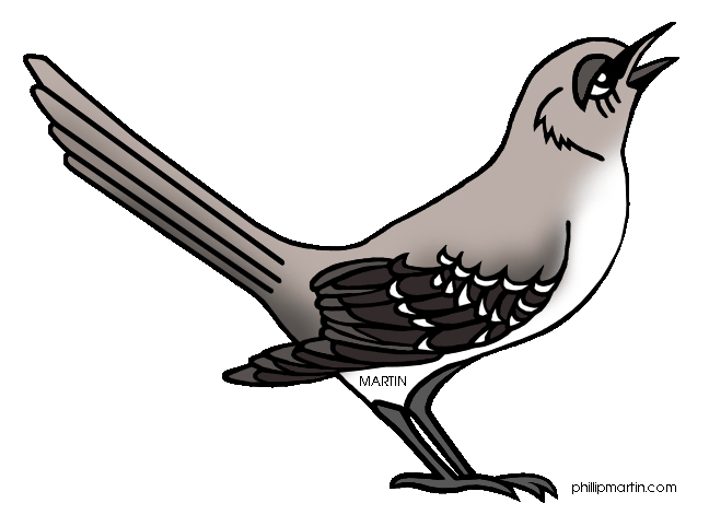 648x471 Collection Of Free Mockingbird Drawing Animated Download On Ui Ex
