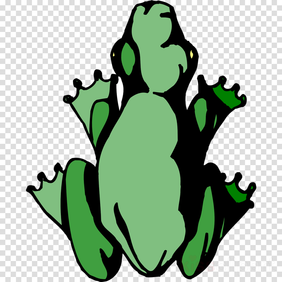 900x900 Frog, Amphibians, Drawing, Transparent Png Image Clipart Free