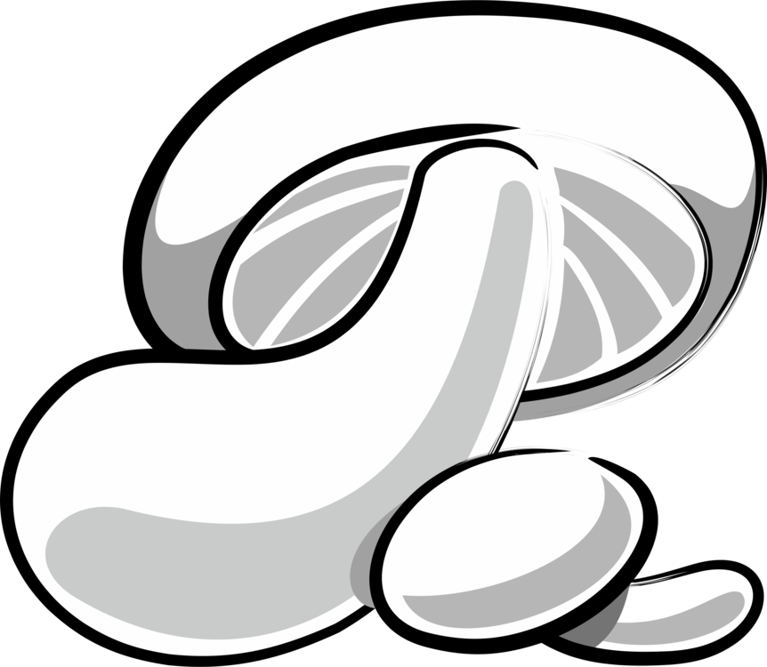 862x750 Mushroom Line Drawing Transparent Png Clipart Free Download