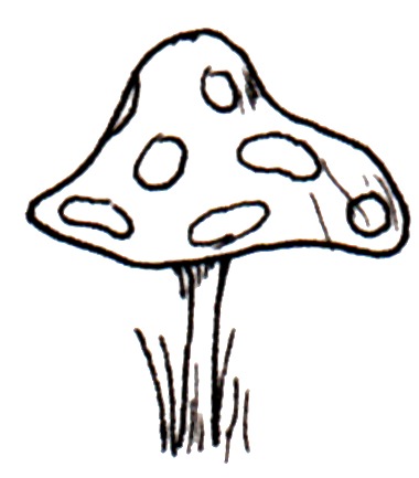 380x433 Toadstool For An Elf