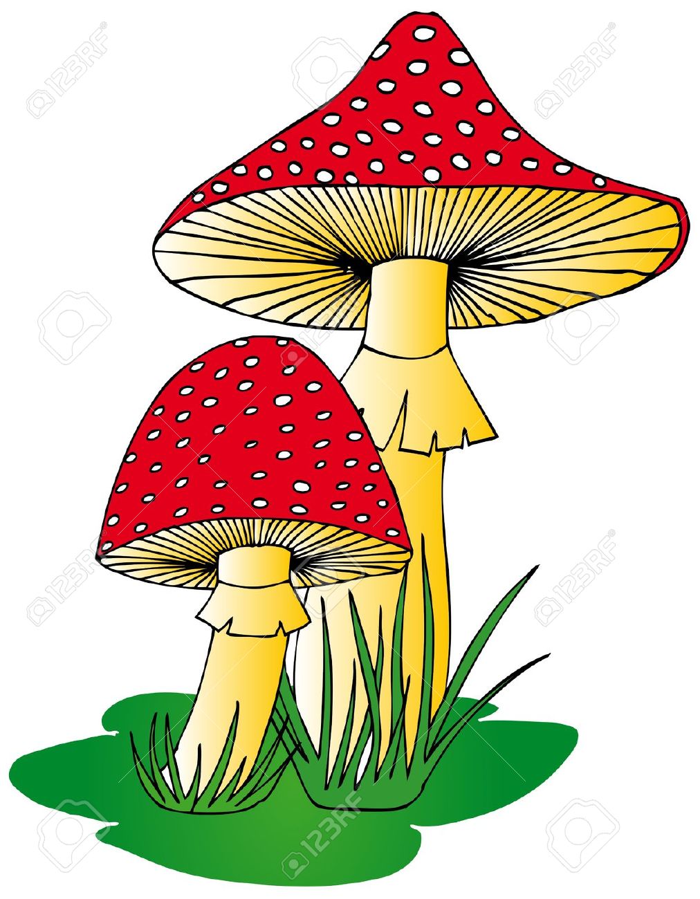 1012x1300 Wild Mushroom Clipart Drawing