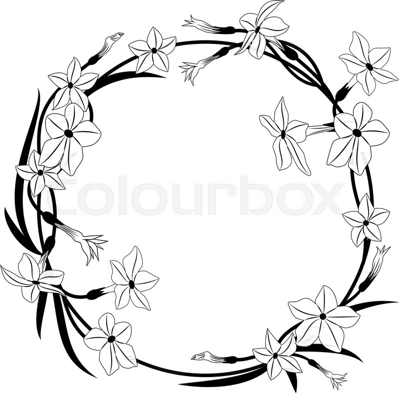 800x788 Flowering Tobacco Vector Frame In Stock Vector Colourbox