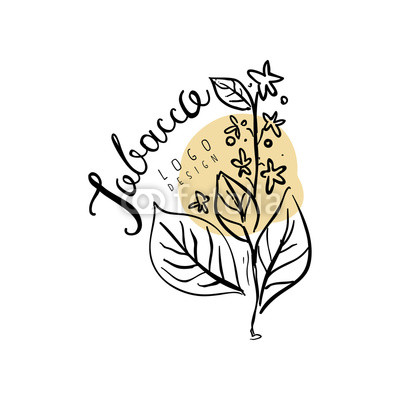 400x400 Tobacco Logo, Hand Drawn Design Element With Plant Can Be Used