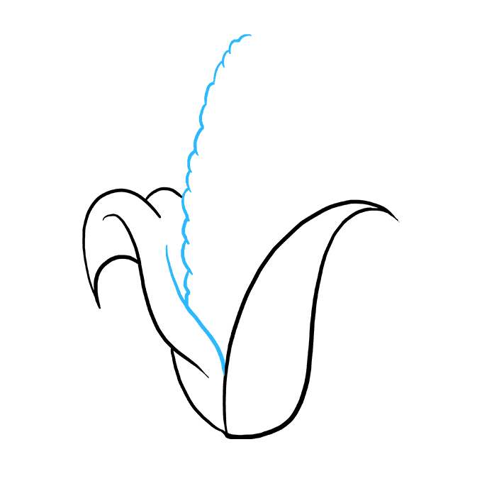 680x678 How To Draw A Corn Cob