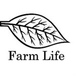 150x150 Tobacco Leaf Clipart Leaves Vector Nw Stock