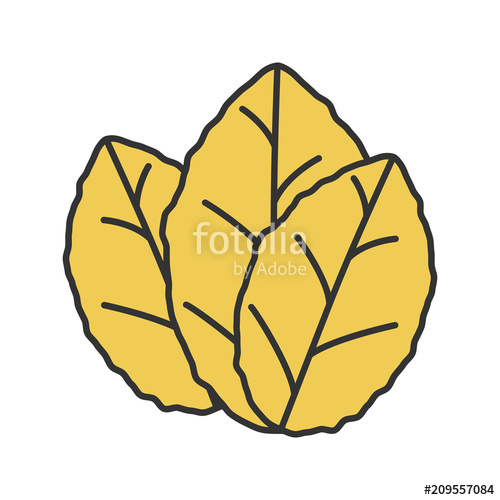 500x500 Tobacco Leaves Color Icon Stock Image And Royalty Free Vector