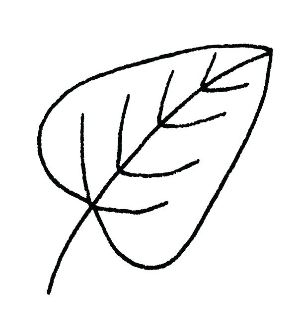 600x676 Autumn Leaf Drawing