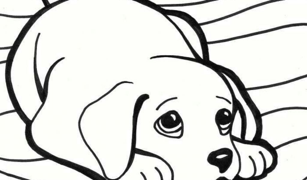 1024x600 Toddler Drawing Of A Dog Iphone Coloring