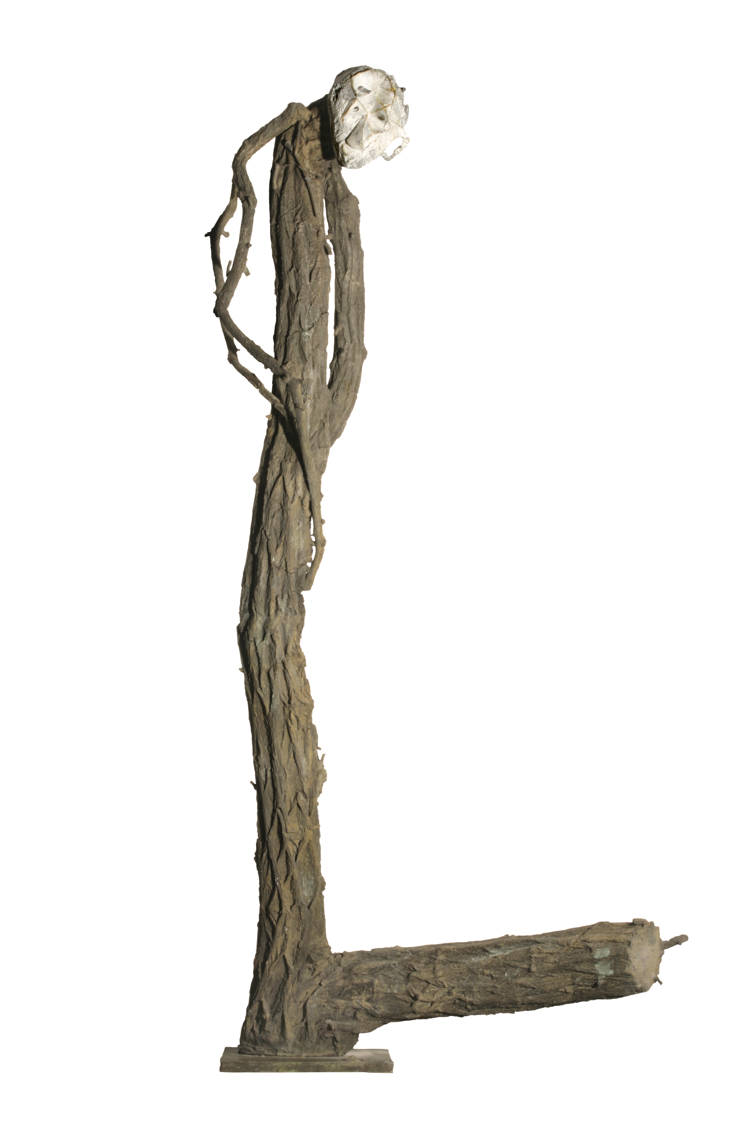 2592x3888 Guy Ferrer Focus