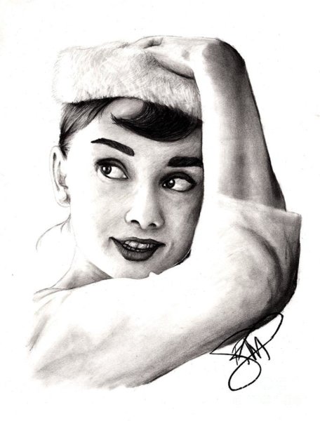 456x600 audrey hepburn drawings fine art america