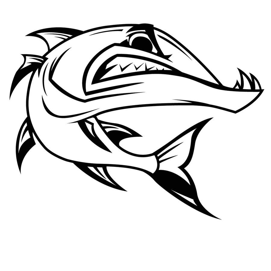 900x900 De Recherche D'images Pour Coloriage Barracuda