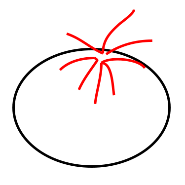 375x375 Drawn Tomato Drawing