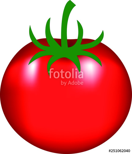 430x500 Red Realistic Tomato Vector Drawing Image Stock Image And Royalty